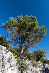 Panorama   French Riviera