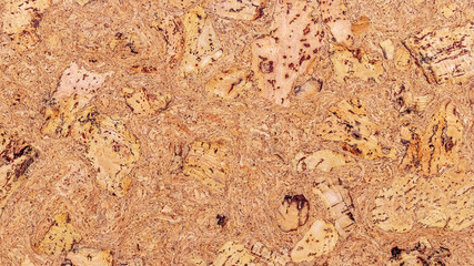 Cork tree texture. Background, blank for design_