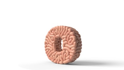 human brain in shape of letter o. 3D illustration