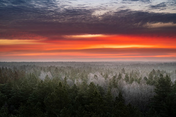 Colourful sunrise sky with frosty forest in foreground during winter morning.