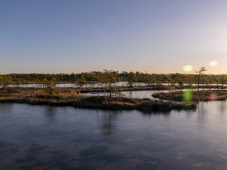 Fototapeta premium beautiful bog landscape in the morning