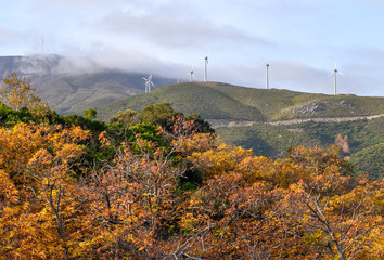 Wind farms in the mountains, autumn landscape