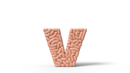 human brain in shape of letter v. 3D illustration