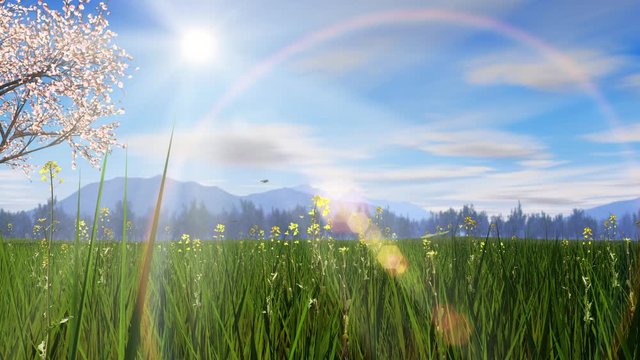 春の風景イメージ_桜の木_太陽