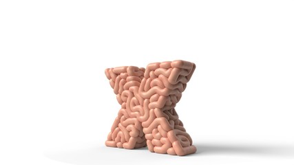 human brain in shape of letter x. 3D illustration