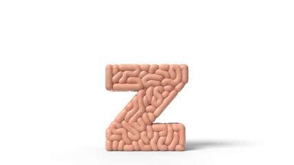 human brain in shape of letter z. 3D illustration