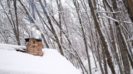 Smoke raising from a chimney in winter