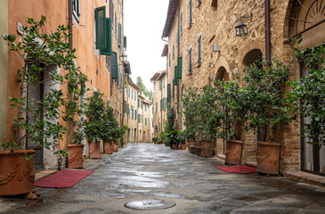 a street with typical houses decorated with plants in San Quirico d'Orcia, Province of Siena, Tuscany, Italy