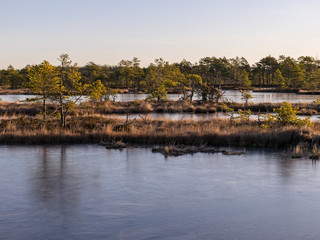 Fototapeta premium beautiful bog landscape in the morning