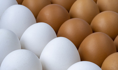 Rows of brown and white chicken eggs in cardboard container.