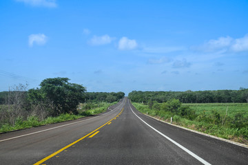 a lonely road with green nature on both sides and blue sky