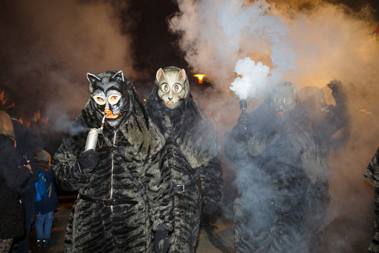 Wildkatzen beim Nachtumzug im Fasching