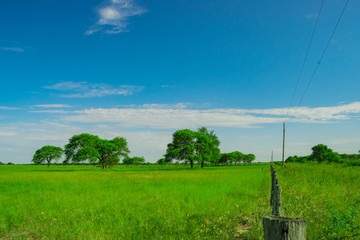 Campo con Alambrado, Juan Jose Castelli - Chaco - Argentina