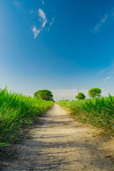 Caminos Rurales de Juan Jose Castelli - Chaco - Argentina