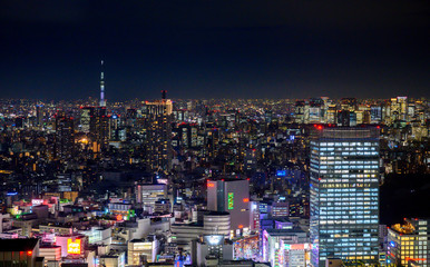 Fototapeta na wymiar Tokyo la nuit