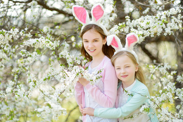 Two cute young sisters wearing bunny ears in blooming cherry garden on beautiful spring day. Kids hanging Easter eggs on blossoming cherry branches.