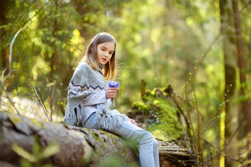 Obraz premium Adorable young girl picking the first flowers of spring in the woods on beautiful sunny spring day. Cute child having fun outdoors.