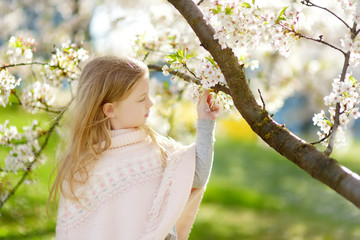 Fototapeta na wymiar Adorable young girl in blooming cherry tree garden on beautiful spring day. Cute child picking fresh cherry tree flowers at spring.