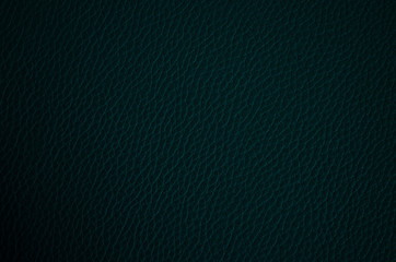 Leather texture close up. Dark blue fashionable background, top view. Stylish wallpaper of snake...
