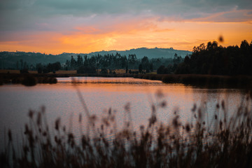naturaleza