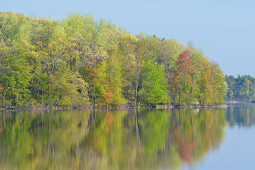 Fototapeta na wymiar Spring landscape of the shoreline of Long Lake with reflections in calm water, Yankee Springs State Park, Michigan, USA