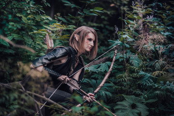 elf archer in the forest