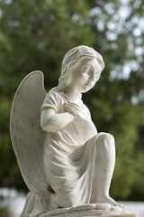 An Angel standing at one knee in prayer hand pose with trees at the back