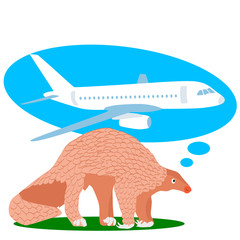 Vector drawing of coronavirus, airplane, pangolin in a flat style on a white isolated background.