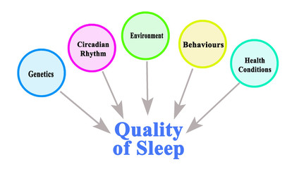  What Influence Quality of  Sleep.