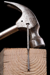 One nail embedded in a piece of wood shown in section and a hammer. Carpentry accessories on a...
