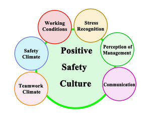 Components of  Positive Safety Culture.