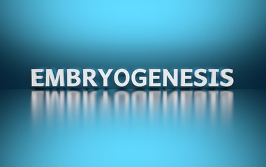 Vibrant orange mockup with circles spheres balancing on stage pedestal with spheres. Image with copy blank space