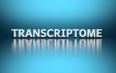 Word Transcriptome written in white bold letters on blue background over shiny surface