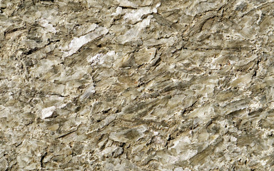 Old wall texture in Bologne