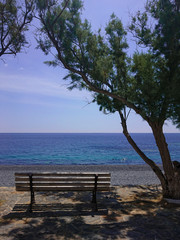 Seawater surface view horizon and the green pine tree, Greece paradise island Chios, volcanic stone beach Mavra Volia, beach view bench