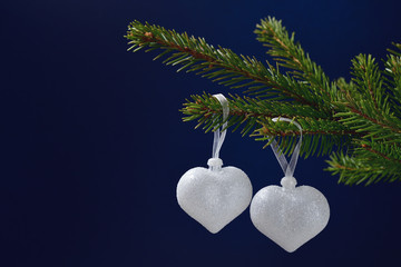 Still life for Valentine's day two silver hearts on a coniferous branch on a dark blue background, space for text.