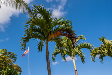 Fototapeta premium Oahu, Hawaii, USA. - January 10, 2012: US Flag and palm trees against blue sky at United In Sacrifice group statue at Schofield Barracks of Army 25th Infantry Division. 