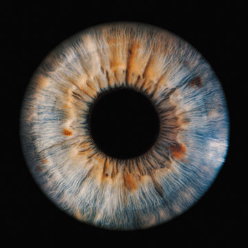 Human Iris On Black Background