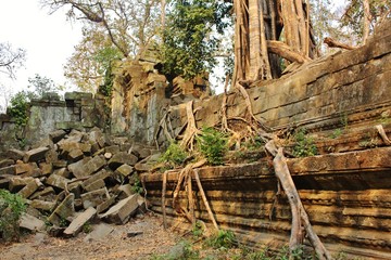 Scenic Ta Prohm Temple at Riem Reap