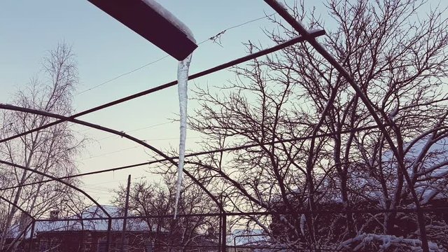 Huge long icicle hang on a drainpipe of a house