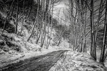 dusty and grainy pictorial style winter landscape environment with heavy edit 