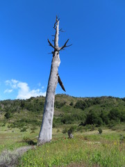 Glaciar Perito Moreno
