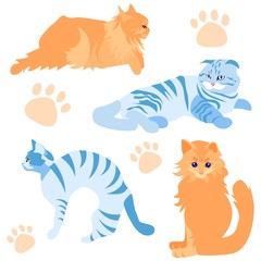 Cat Breeds, Cute Pets Set Isolated on whire Background Flat Cartoon Vector Illustration. Furry Lovely Domestic Animals in Different Positions Sitting, Having Rest, Angry. Paw Prints.