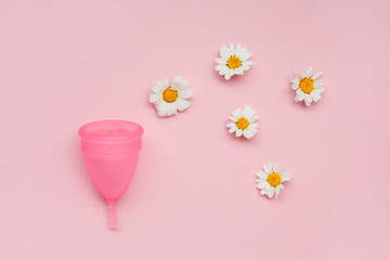 pink menstrual cup and chamomile flowers isolated on rose background,  menstruation cycle, women gynecological health and intimate hygiene concept, zero waste product