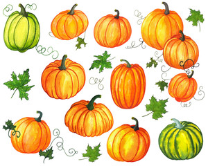 Bright, juicy orange and green pumpkins with leaves, isolated on white background. Hand draw watercolor painting. Perfect for making cards, prints, gift wrappers, stickers, kitchen utensils