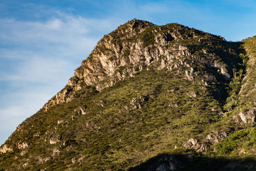 Close of Jaraguá Mountain