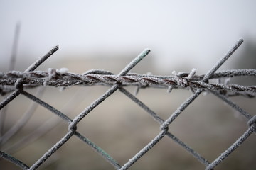barbed wire on background of blue sky, frost on the wire, winter