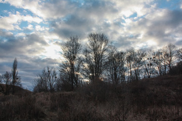 Landscape of a ravine overgrown with trees, bushes and dry grass in late autumn.