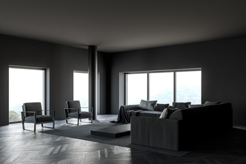 Grey living room corner with armchairs and sofas