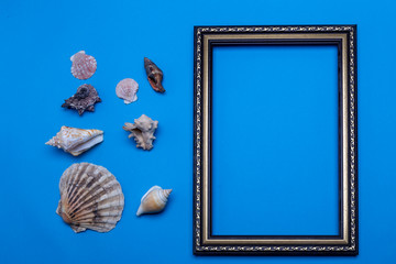 Frame and shells on a blue background. mock-up